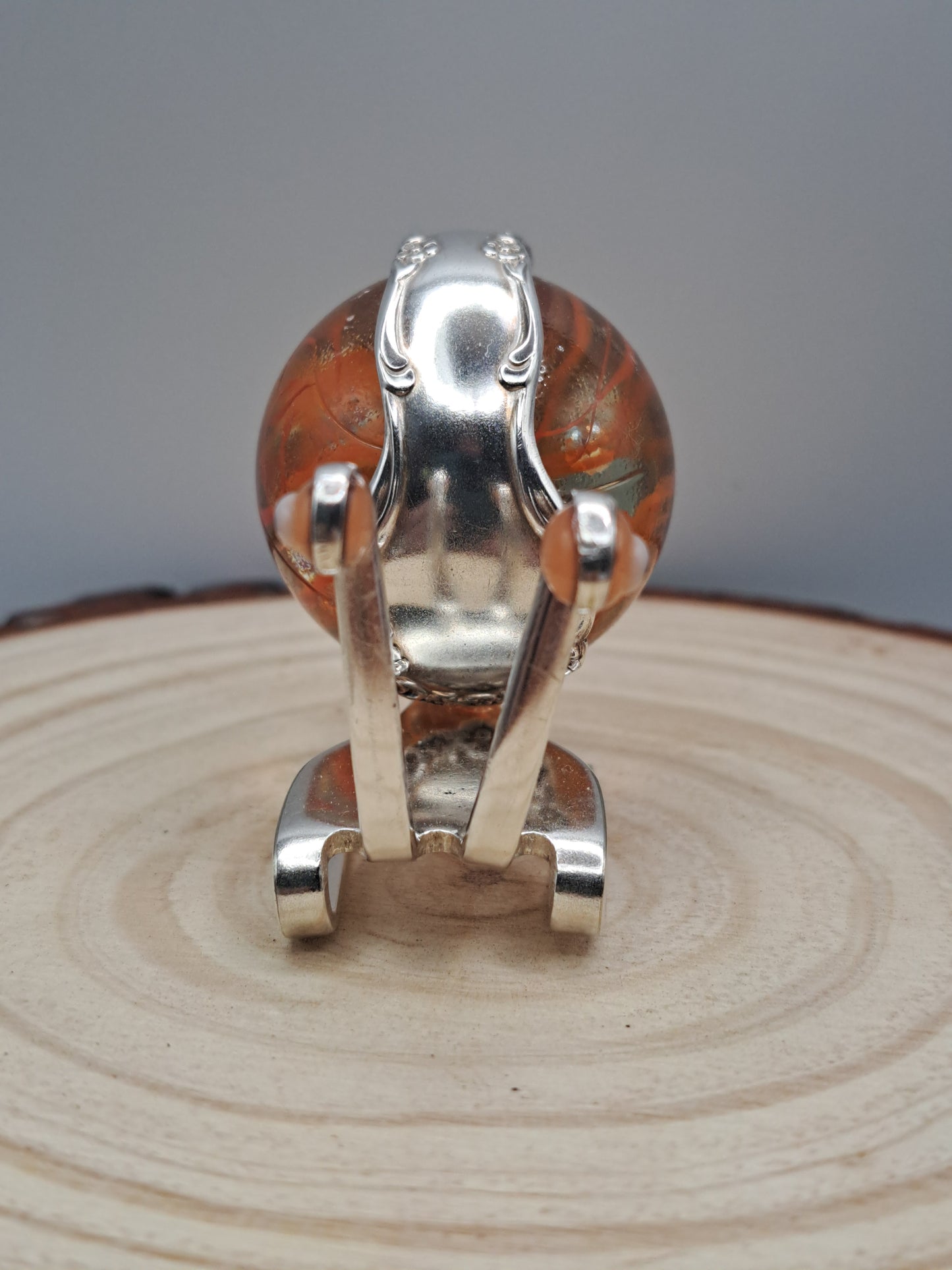 Garden Snail 5 - Plant Buddy